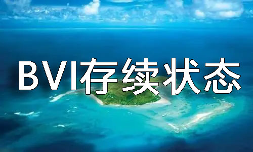 bvi公司存续状态