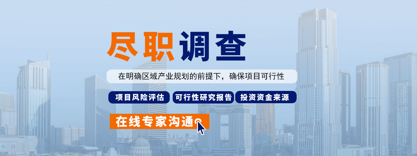 尽职调查在明确区域产业规划的前提下，确保项目可行性,项目风险评估,投资资金来源.