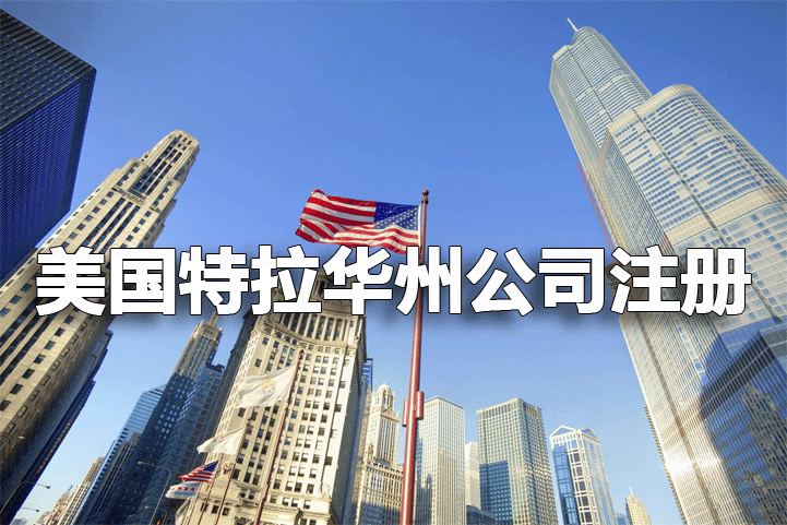 注册美国特拉华州公司重点分析